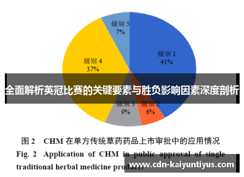 全面解析英冠比赛的关键要素与胜负影响因素深度剖析 全面解析英冠比赛的关键要素与胜负影响因素深度剖析