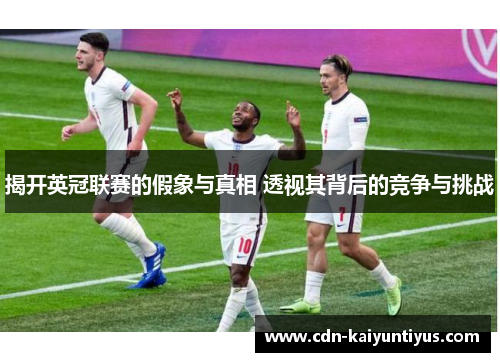 揭开英冠联赛的假象与真相 透视其背后的竞争与挑战