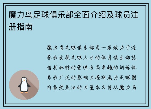 魔力鸟足球俱乐部全面介绍及球员注册指南