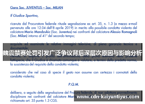 魏震禁赛处罚引发广泛争议背后深层次原因与影响分析