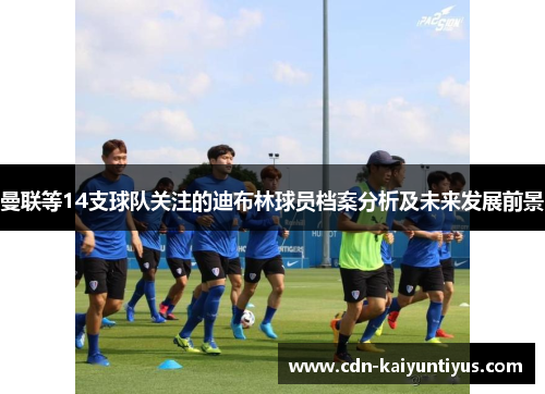 曼联等14支球队关注的迪布林球员档案分析及未来发展前景