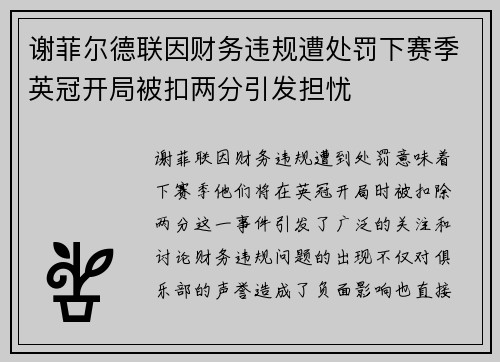 谢菲尔德联因财务违规遭处罚下赛季英冠开局被扣两分引发担忧